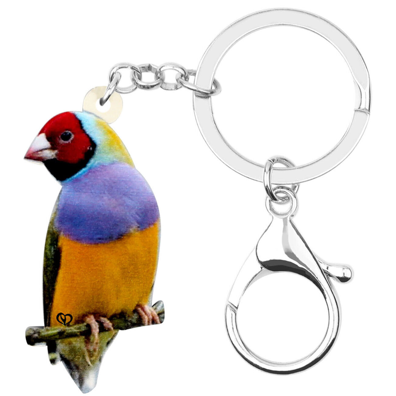 Acrylic Lorikeet Parrot Key Chains Purse Key Ring Animals Jewelry Wallet Charms